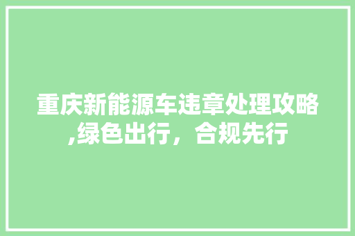 重庆新能源车违章处理攻略,绿色出行，合规先行