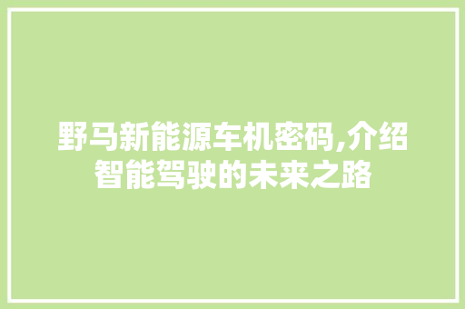 野马新能源车机密码,介绍智能驾驶的未来之路