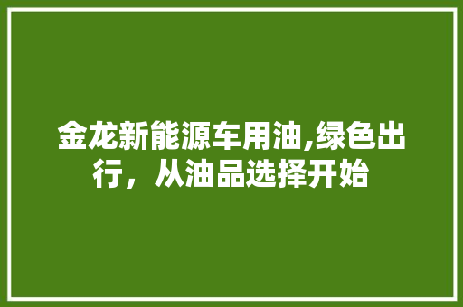 金龙新能源车用油,绿色出行，从油品选择开始