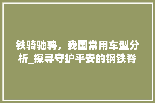 铁骑驰骋，我国常用车型分析_探寻守护平安的钢铁脊梁  第1张