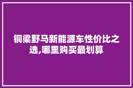 铜梁野马新能源车性价比之选,哪里购买最划算