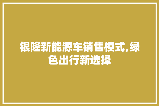 银隆新能源车销售模式,绿色出行新选择