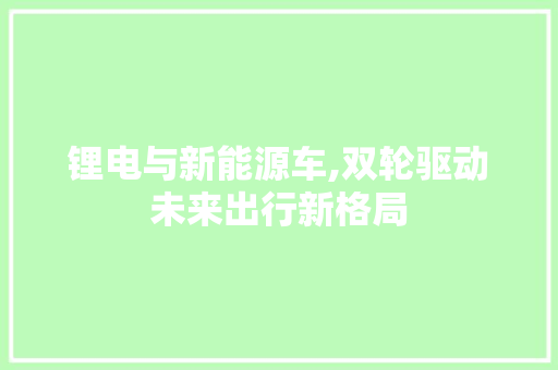 锂电与新能源车,双轮驱动未来出行新格局  第1张