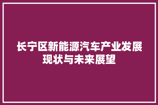 长宁区新能源汽车产业发展现状与未来展望