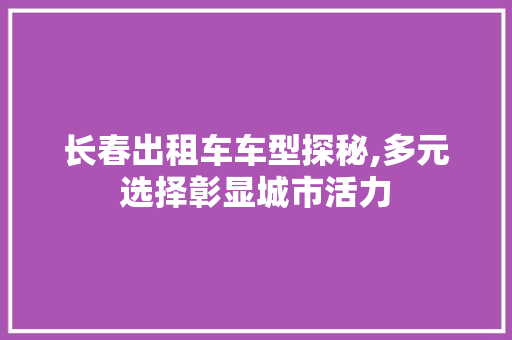 长春出租车车型探秘,多元选择彰显城市活力