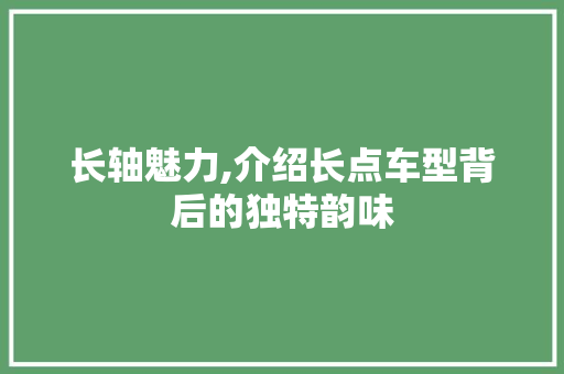 长轴魅力,介绍长点车型背后的独特韵味  第1张