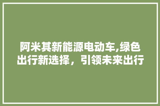 阿米其新能源电动车,绿色出行新选择，引领未来出行潮流