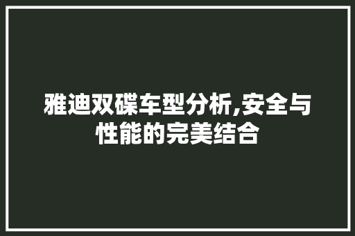 雅迪双碟车型分析,安全与性能的完美结合