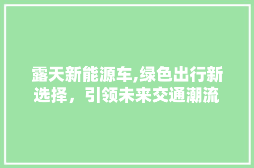 露天新能源车,绿色出行新选择，引领未来交通潮流