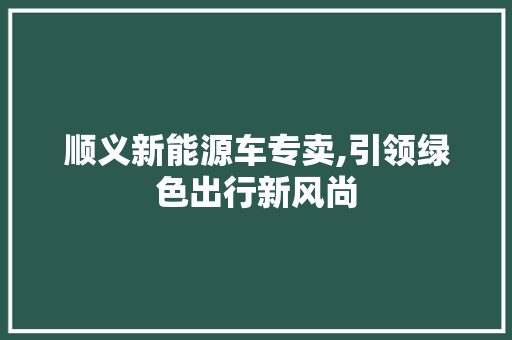 顺义新能源车专卖,引领绿色出行新风尚