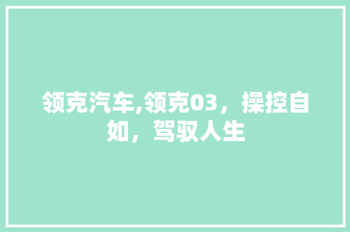 领克汽车,领克03，操控自如，驾驭人生