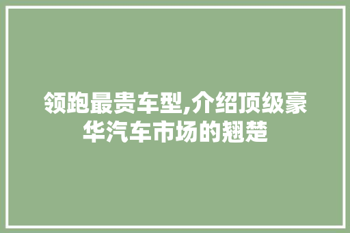 领跑最贵车型,介绍顶级豪华汽车市场的翘楚