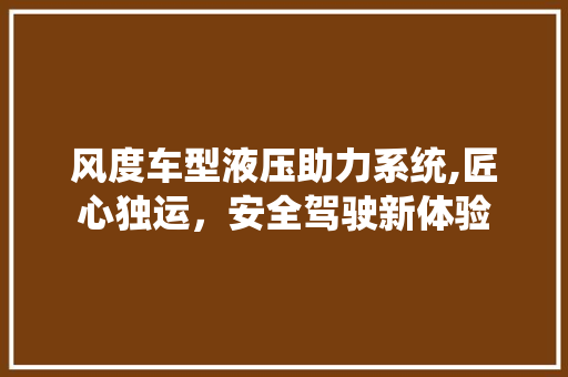 风度车型液压助力系统,匠心独运，安全驾驶新体验