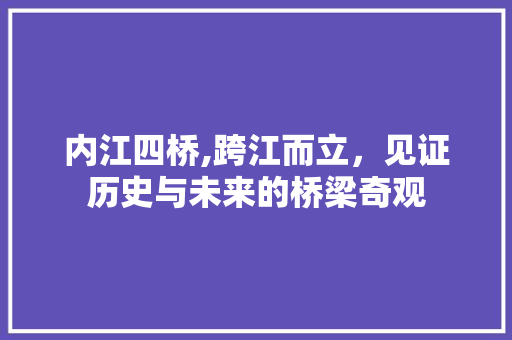 内江四桥,跨江而立，见证历史与未来的桥梁奇观