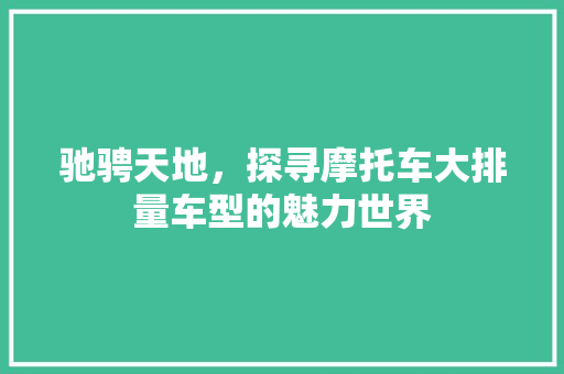 驰骋天地，探寻摩托车大排量车型的魅力世界