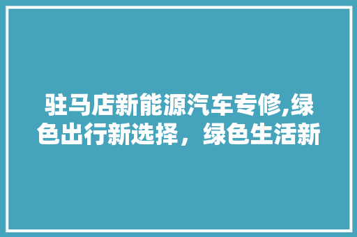 驻马店新能源汽车专修,绿色出行新选择，绿色生活新篇章