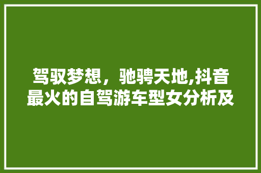 驾驭梦想，驰骋天地,抖音最火的自驾游车型女分析及推荐