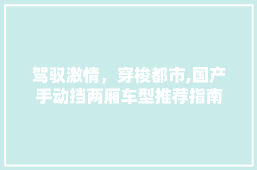 驾驭激情，穿梭都市,国产手动挡两厢车型推荐指南