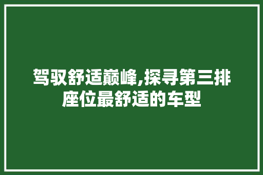 驾驭舒适巅峰,探寻第三排座位最舒适的车型