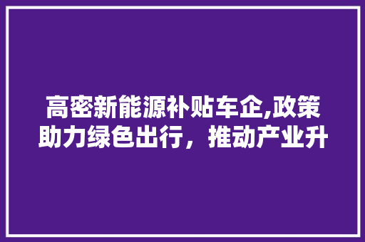 高密新能源补贴车企,政策助力绿色出行，推动产业升级  第1张