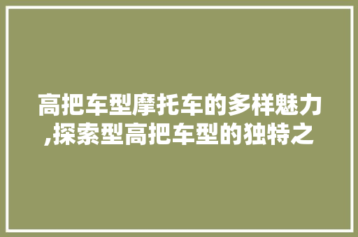 高把车型摩托车的多样魅力,探索型高把车型的独特之处  第1张