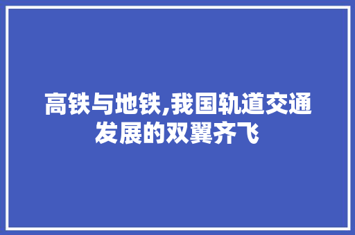 高铁与地铁,我国轨道交通发展的双翼齐飞  第1张