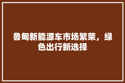 鲁甸新能源车市场繁荣，绿色出行新选择