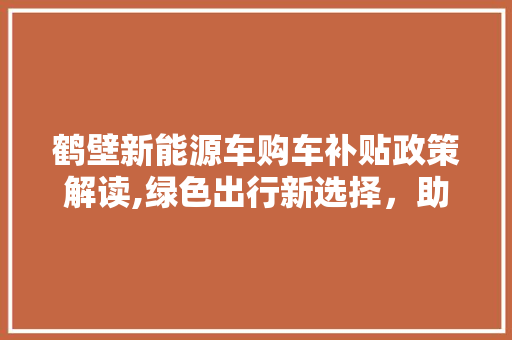 鹤壁新能源车购车补贴政策解读,绿色出行新选择，助力城市绿色发展  第1张