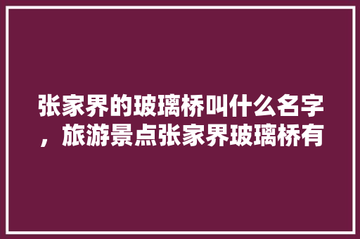 张家界的玻璃桥叫什么名字，旅游景点张家界玻璃桥有哪些。  第1张