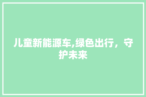 儿童新能源车,绿色出行，守护未来  第1张