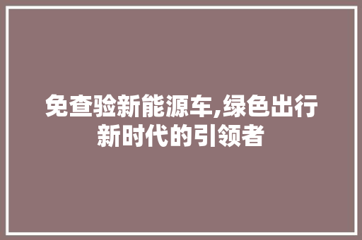 免查验新能源车,绿色出行新时代的引领者