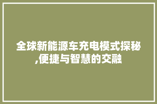 全球新能源车充电模式探秘,便捷与智慧的交融  第1张