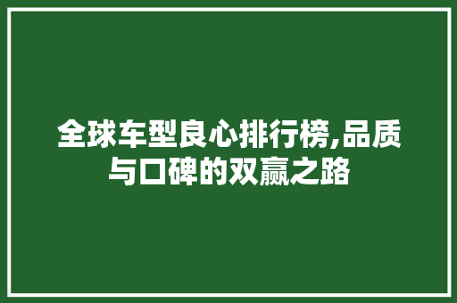 全球车型良心排行榜,品质与口碑的双赢之路