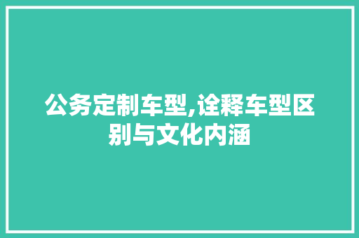 公务定制车型,诠释车型区别与文化内涵