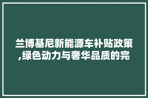 兰博基尼新能源车补贴政策,绿色动力与奢华品质的完美融合  第1张