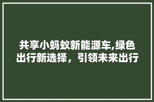 共享小蚂蚁新能源车,绿色出行新选择，引领未来出行潮流  第1张