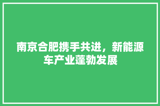 南京合肥携手共进，新能源车产业蓬勃发展  第1张