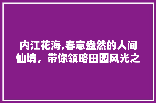 内江花海,春意盎然的人间仙境，带你领略田园风光之美