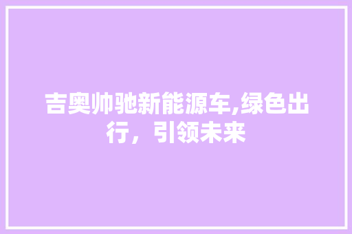 吉奥帅驰新能源车,绿色出行，引领未来