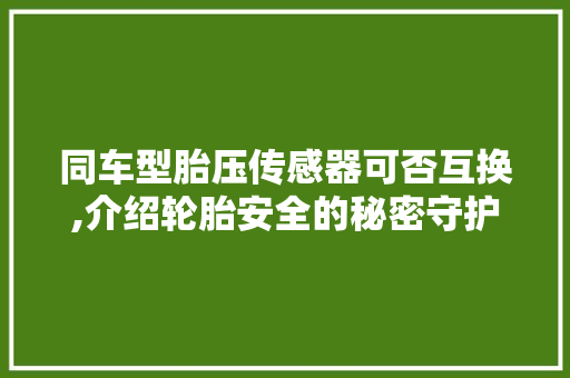 同车型胎压传感器可否互换,介绍轮胎安全的秘密守护者  第1张