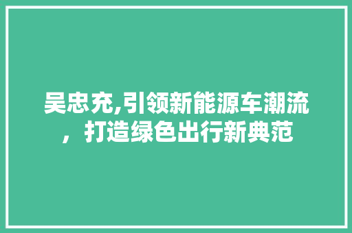 吴忠充,引领新能源车潮流，打造绿色出行新典范