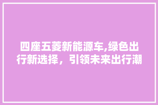 四座五菱新能源车,绿色出行新选择，引领未来出行潮流  第1张