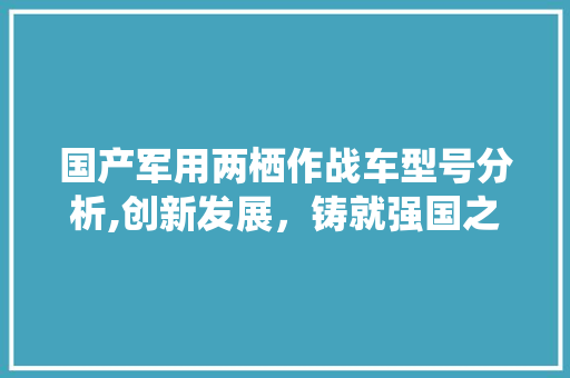 国产军用两栖作战车型号分析,创新发展，铸就强国之盾