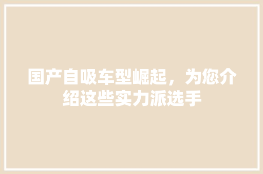 国产自吸车型崛起，为您介绍这些实力派选手  第1张