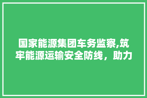 国家能源集团车务监察,筑牢能源运输安全防线，助力绿色发展