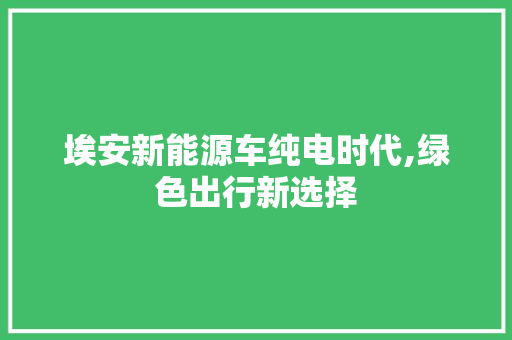 埃安新能源车纯电时代,绿色出行新选择  第1张