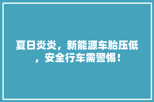 夏日炎炎，新能源车胎压低，安全行车需警惕！