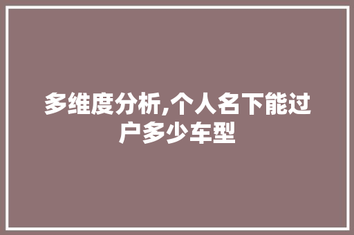 多维度分析,个人名下能过户多少车型