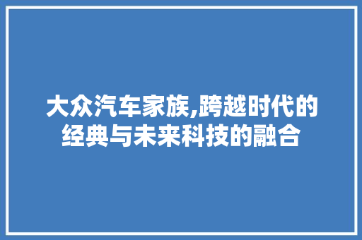 大众汽车家族,跨越时代的经典与未来科技的融合