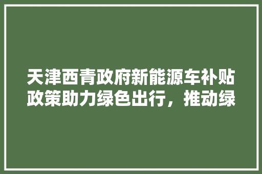 天津西青政府新能源车补贴政策助力绿色出行，推动绿色发展新篇章  第1张